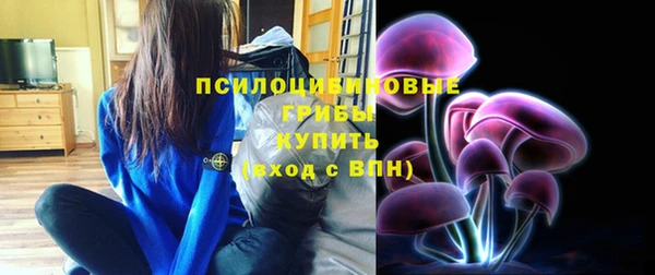 спайс Покачи